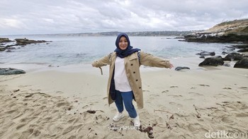 Kamera wide-angle 0,6x dapat memotret perbatasan Samudra Pasifik ini. Foto: Aisyah Kamaliah/detikINET