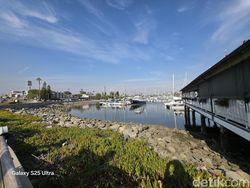 Menangkap Wide Angle 50 MP dari Samsung S25 Ultra, Warnanya Mantap Jiwa!