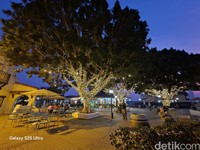 Samsung S25 Ultra 50 MP Wide-Angle