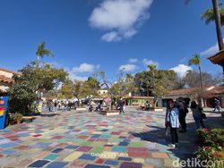 Menangkap Wide Angle 50 MP dari Samsung S25 Ultra, Warnanya Mantap Jiwa!