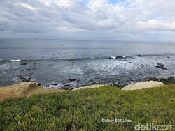 Menangkap Wide Angle 50 MP dari Samsung S25 Ultra, Warnanya Mantap Jiwa!