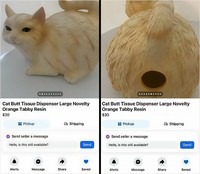 Ada saja barang aneh yang dijual orang-orang di internet. Kamu tertarik beli nggak nih? Yuk intip daftarnya berikut.