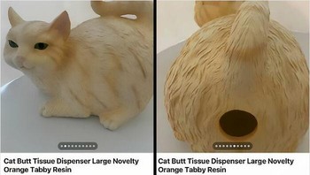 Ini unik sih. Foto: (Bored Panda).