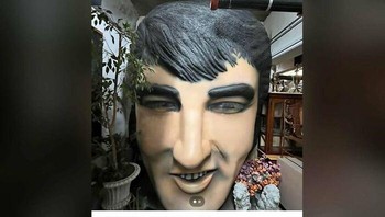 Jauh dari kata mirip. Foto: (Bored Panda).