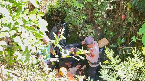 Sejumlah petugas mengevakuasi turis Prancis yang terperosok ke jurang akibat melewati jalan berlubang di Desa Pejaten, Kecamatan Kediri, Tabanan, Minggu (26/1/2025) pagi. (Dok. Polres Tabanan)