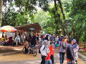 Hampir 150 Ribu Pengunjung Serbu Ragunan Selama Long Weekend Januari