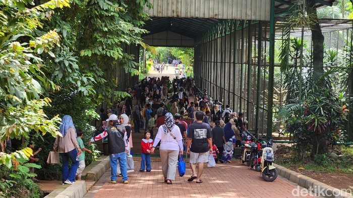 Susana ramai di Ragunan. (Adrial/detikcom)
