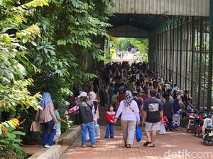 Video: Puncak Kunjungan Taman Margasatwa Ragunan Diprediksi Terjadi Rabu