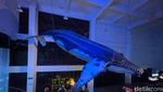 Sibuknya Aquarium Indonesia Pangandaran Saat Musim Liburan