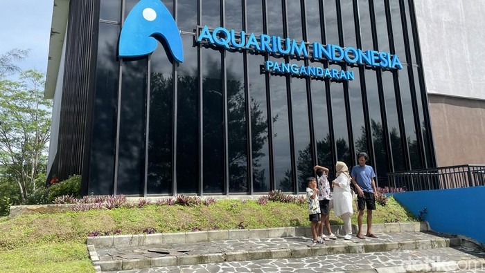 Aquarium Indonesia Pangandaran. Aquarium Indonesia Pangandaran.