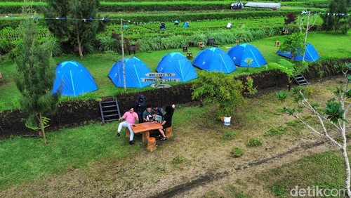 Salah satu camping ground di Sembalun, Lombok Timur.