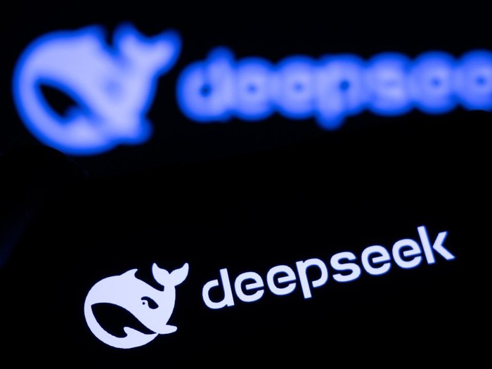 DeepSeek