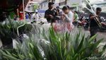 Jelang Imlek, Penjualan Bunga Sedap Malam Meningkat