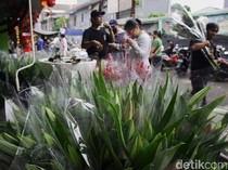 Jelang Imlek, Penjualan Bunga Sedap Malam Meningkat