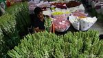 Jelang Imlek, Penjualan Bunga Sedap Malam Meningkat