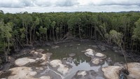 Kerusakan kawasan hutan mangrove di daerah tersebut dikarenakan maraknya penambangan biji timah ilegal.