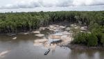 Hutan Mangrove Ini Rusak akibat Penambangan Timah Ilegal
