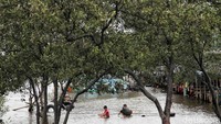 Meski pantai terendam rob, warga tetap asyik bermain.  
