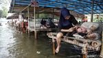 Liburan Murah Meriah ke Pantai Marunda