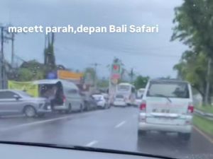 Pengunjung Bali Safari Membeludak, Bypass IB Mantra Macet Parah
