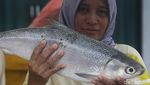 Pasar Ikan Bandeng Rawa Ramaikan Tahun Baru Imlek