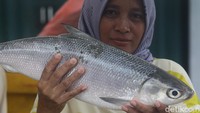 Festival Bandeng Rawa Belong ini menampilkan identitas sejarah Jakarta yang memiliki keberagaman budaya dan menjadi daya tarik wisata di Rawa Belong. 