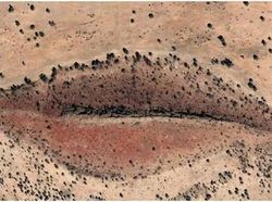 Penampakan Aneh dan Keren yang Terekam Google Earth