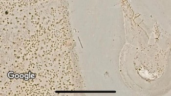 Sepertinya ini bentuk pin lokasi Google Maps di dunia nyata. Foto: (Bored Panda).