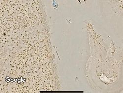 Penampakan Aneh dan Keren yang Terekam Google Earth