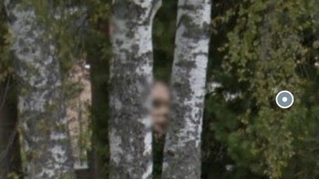 Kaget, kenapa ada penampakan wajah di situ. Foto: (Bored Panda).