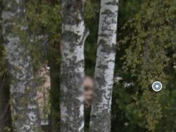 Penampakan Aneh dan Keren yang Terekam Google Earth