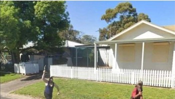 Kira-kira mereka sedang apa ya? Foto: (Bored Panda).