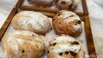 Ada Roti Sourdough Cokelat dan Cranberry Cheese mulai Rp 35.000 di Sini
