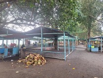 Cuaca Ekstrem, Pantai Gading Mataram Sepi Turis Saat Libur Panjang