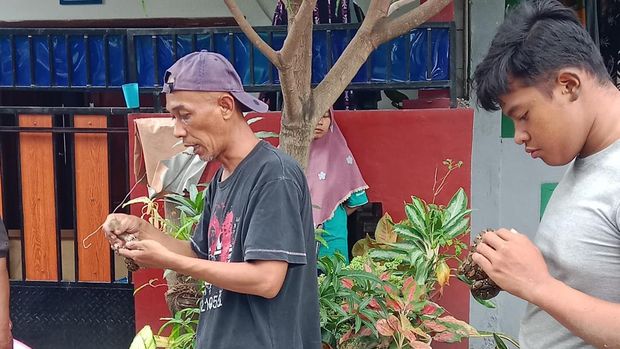 Warga Cibitung, Kabupaten Bekasi, Jawa Barat dihebohkan sarang ular sanca dalam rumah. Belasan ekor sanca dievakuasi dari lokasi tersebut. (dok Panakawan Rescue)