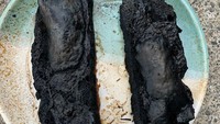 Bukannya batu, netizen ini gagal total saat panggang roti sourdough sampai warnanya hitam pekat seperti batu aspal. Foto: Demilked/Site