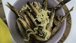 10 Tampilan Makanan yang Absurd Ini Bikin Malas Makan