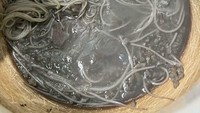 Terakhir ini tampilan spaghetti kuah abu-abu pekat yang bikin orang langsung malas makan. Foto: Demilked/Site