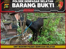Ingin Pulang Kampung, Eks Karyawan Curi Motor-Kambing di Warung Babi Guling