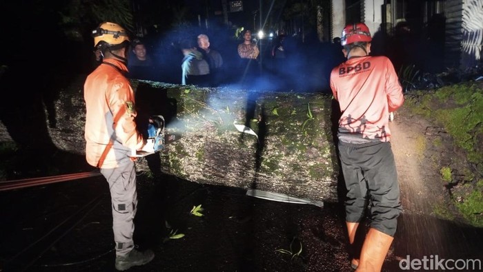 Pohon tumbang di Sukabumi..