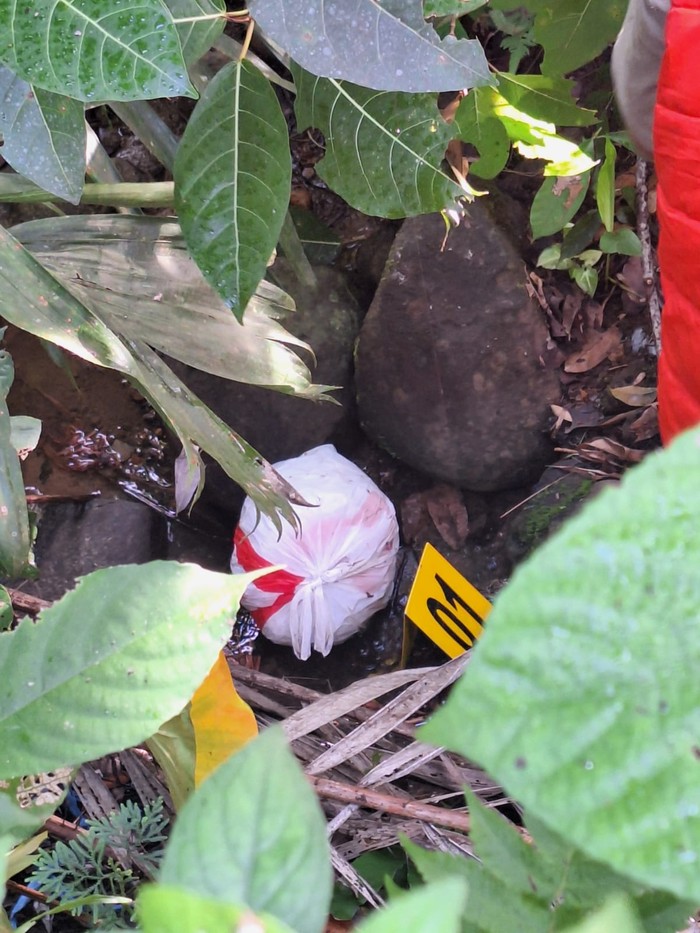 Polisi saat mencari potongan tubuh Uswatun di hutan