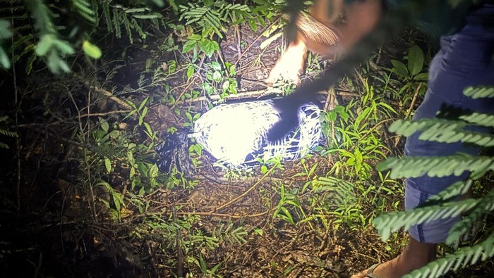 Polisi saat mencari potongan tubuh Uswatun di hutan