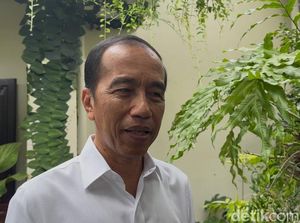 Kata Jokowi soal Anggaran IKN Diblokir