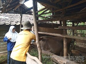 DTPHP Musi Rawas Dapat 1.050 Vaksin untuk PMK