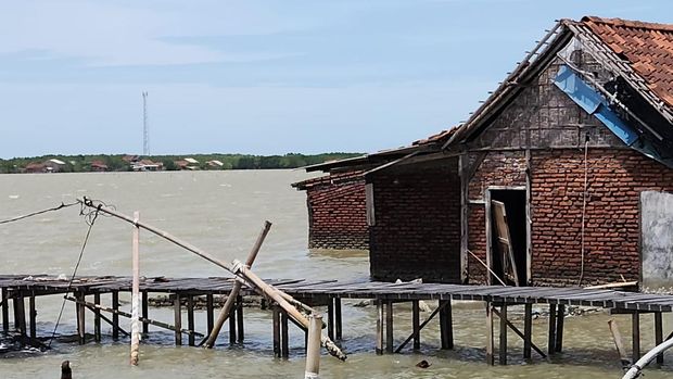 Tanah tenggelam di Kecamatan Timbulsloko, Kabupaten Demak. Tanah tenggelam di Kecamatan Timbulsloko, Kabupaten Demak. Foto diunggah Selasa (25/1/2025).