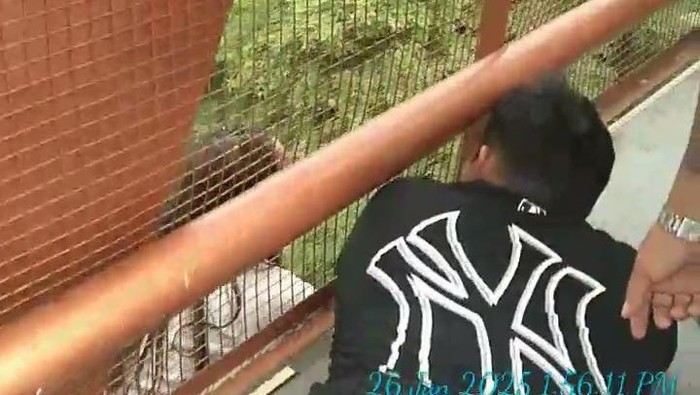 Momen anggota Polrestabes Semarang, Ipda Arel Dewanta, berusaha membujuk seorang perempuan yang hendak meloncat dari jembatan Tol Jangli, Minggu (26/1/2025).