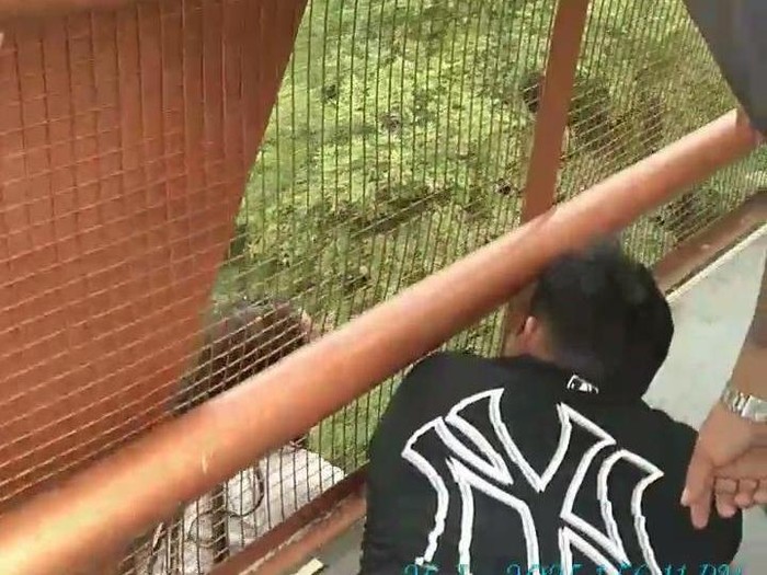 Momen anggota Polrestabes Semarang, Ipda Arel Dewanta, berusaha membujuk seorang perempuan yang hendak meloncat dari jembatan Tol Jangli, Minggu (26/1/2025).