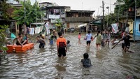 Mereka terlihat berenang kesana kemari.