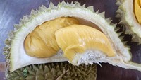 Durian D24 XO termasuk jenis yang unggulan di Malaysia. Durian XO memiliki tempat khusus di hati penduduk setempat karena aromanya yang semerbak, serta rasa yang kuat yang manis dan sedikit beralkohol. Foto: iStockphoto/DETIKFOOD