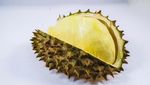 10 Varietas Durian Malaysia, D24 hingga Musang King